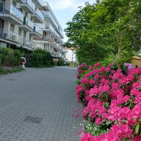 Limonka Apartmán *